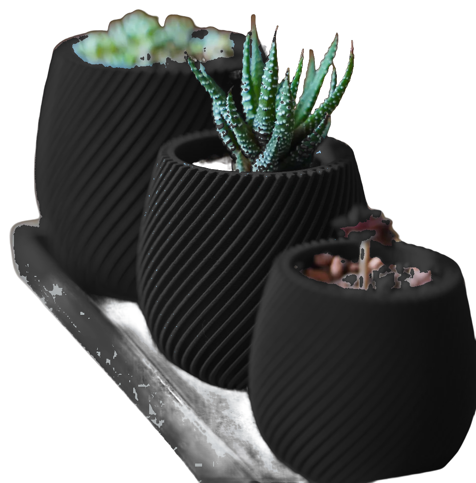 Voluta planter